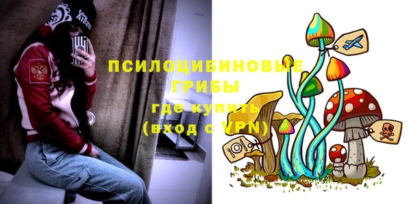 трава Дмитриев
