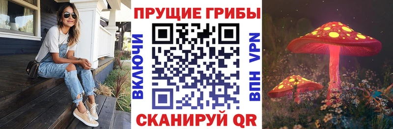 Купить Борисоглебск Галлюциногенные грибы мицелий